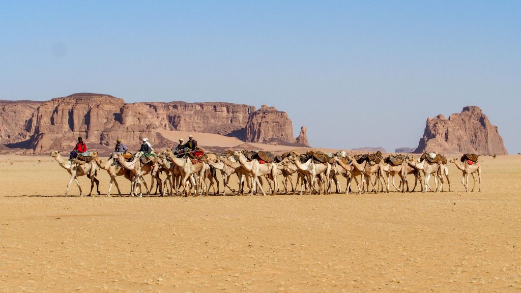 Tschad. Reisefotografie. XL Digitaldruck auf Acryl Alu Dibond. Panoramadruck "desert traders" zeigt Handelskarawane und Kameltreibern in der Wüste. Wüstenhändler auf Kamelen. Große Felsfomationen im Hintergrund. Chad Republic. XL digital print on acrylic alu dibond. Panoramic image "Desert Traders" shows camel caravan loaded with salt and goods. desert traders on their camels. hugh rock formations in the background. travel photography. landscape photography.