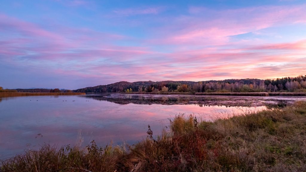 Seehamer See. Landschaftsfotografie. XL Digitaldruck auf Acryl Alu Dibond. Panoramadruck "lake in pink" zeigt rosa Wolken , die sich im See spiegeln. Herbstlandschaft. Abendstimmung. XL digital print on acrylic alu dibond. Panoramic image " lake in pink" shows pink clouds reflecting in a lake. Autumn. Sunset. landscape photogrphy.