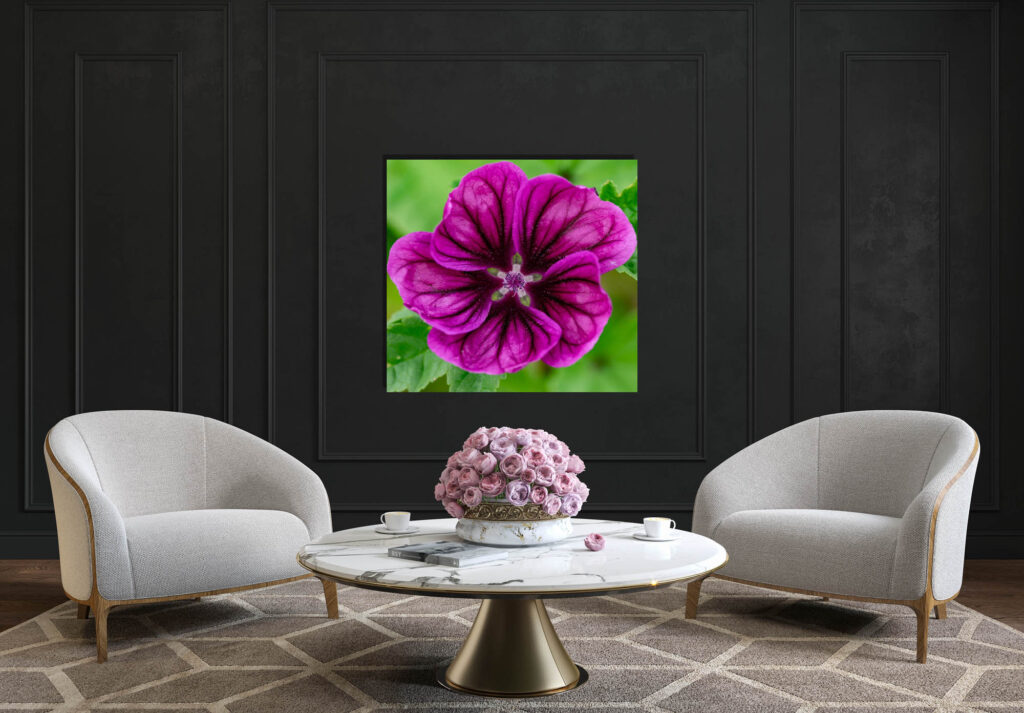 Classic black interior with armchairs, coffee table, Fine Art flower print on acrylic alu dibond