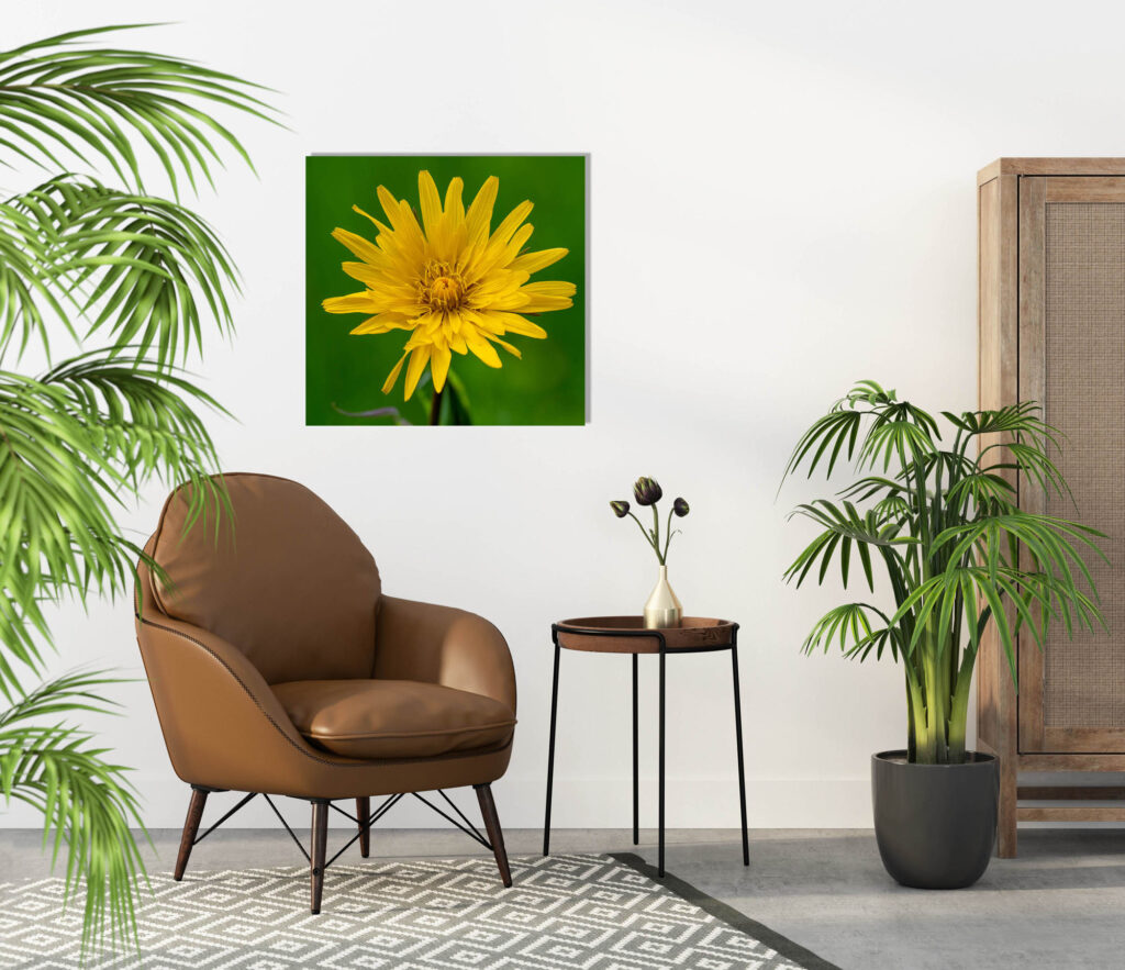 Interior with brown leather armchair, table, digitalprint on white wall, Fine Art yellow flower, acrylic alu dibond